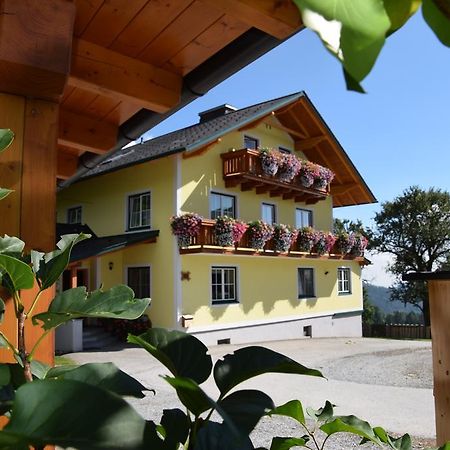 Апартаменты Huberhof Im Almenland Санкт-Катрайн-ам-Оффенэгг Экстерьер фото