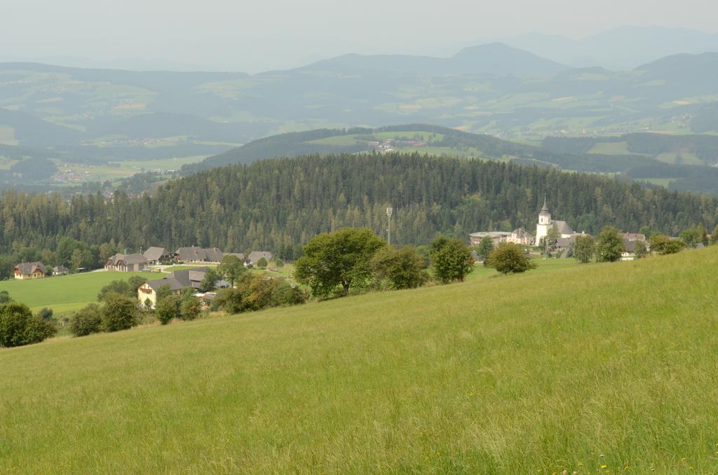 Апартаменты Huberhof Im Almenland Санкт-Катрайн-ам-Оффенэгг Экстерьер фото
