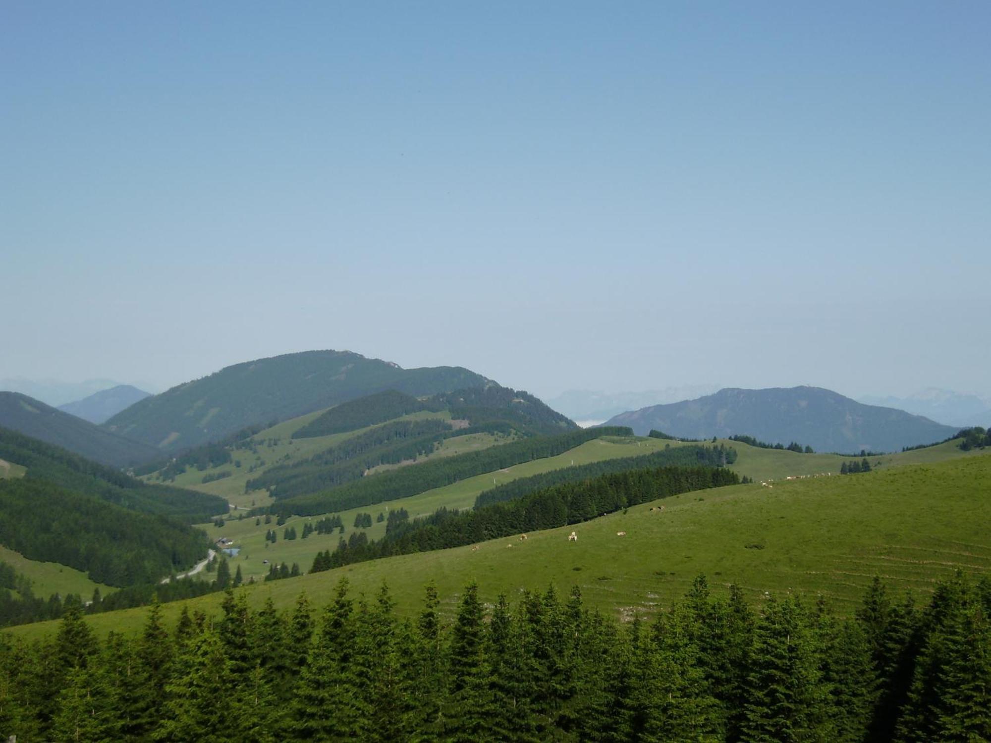 Апартаменты Huberhof Im Almenland Санкт-Катрайн-ам-Оффенэгг Экстерьер фото