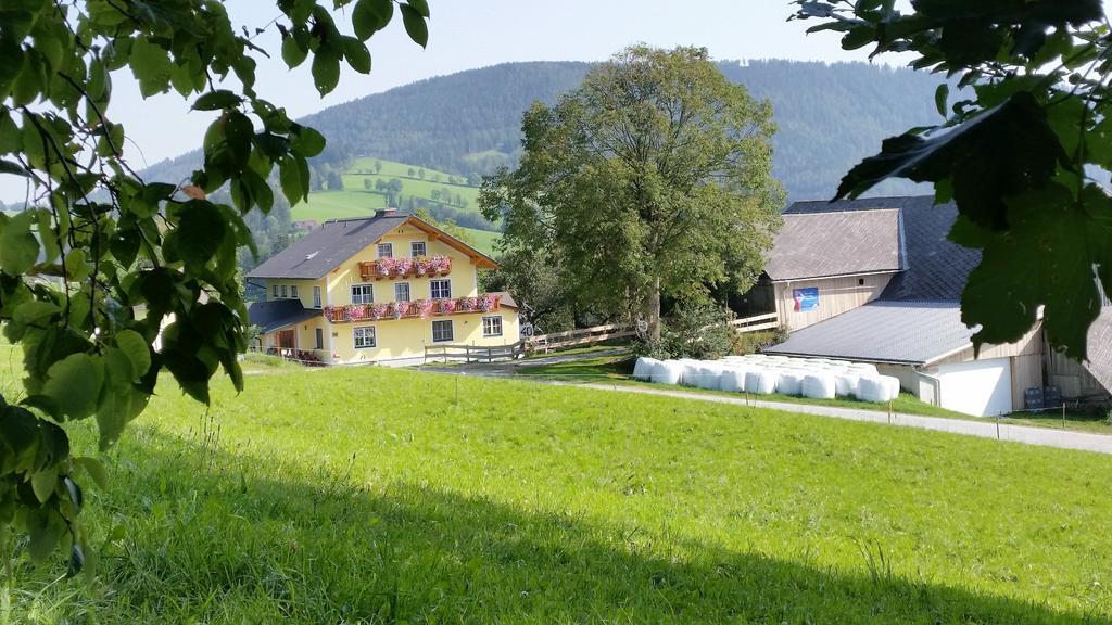 Апартаменты Huberhof Im Almenland Санкт-Катрайн-ам-Оффенэгг Экстерьер фото